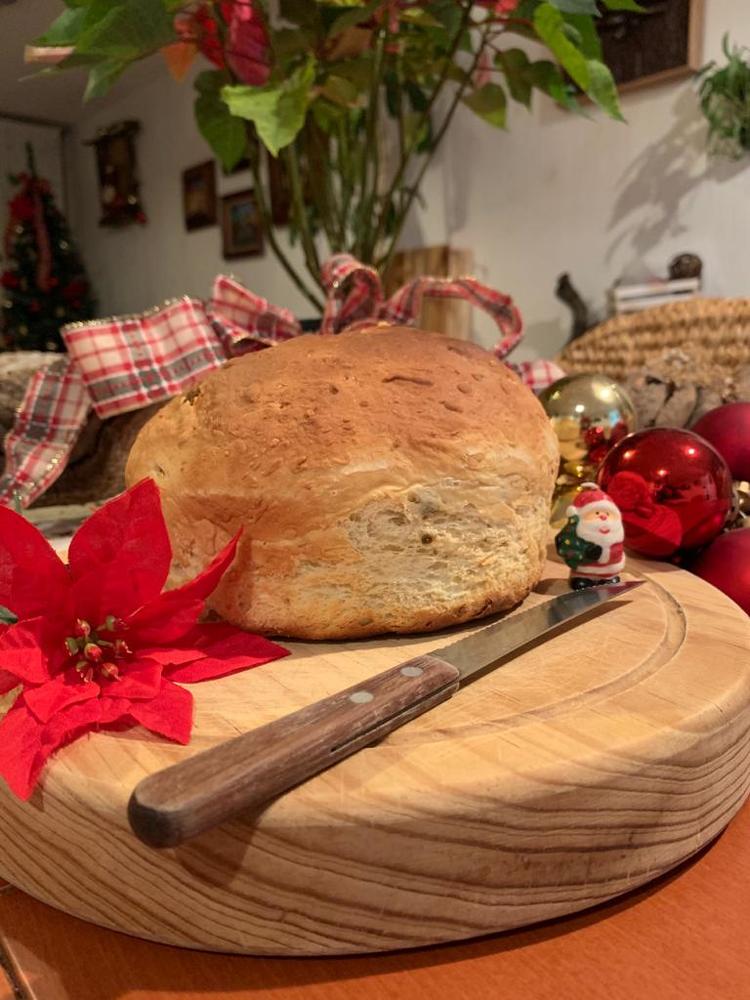 Photograph by José Luis Mendoza Machado