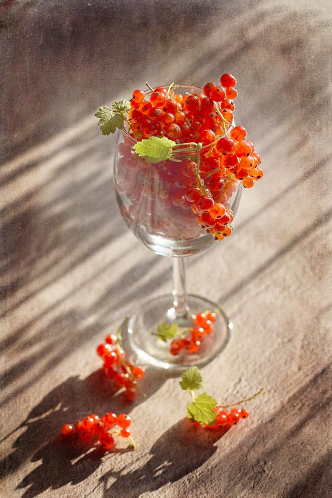 Photograph by Марина Хаева