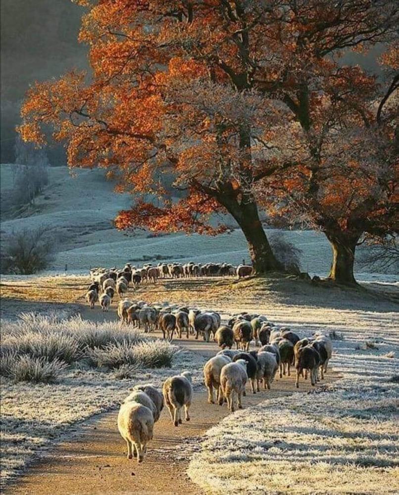 Photograph by Behrouz Kholousi