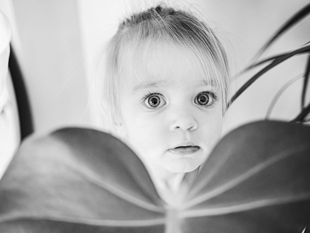 Photograph by Городничева Елена