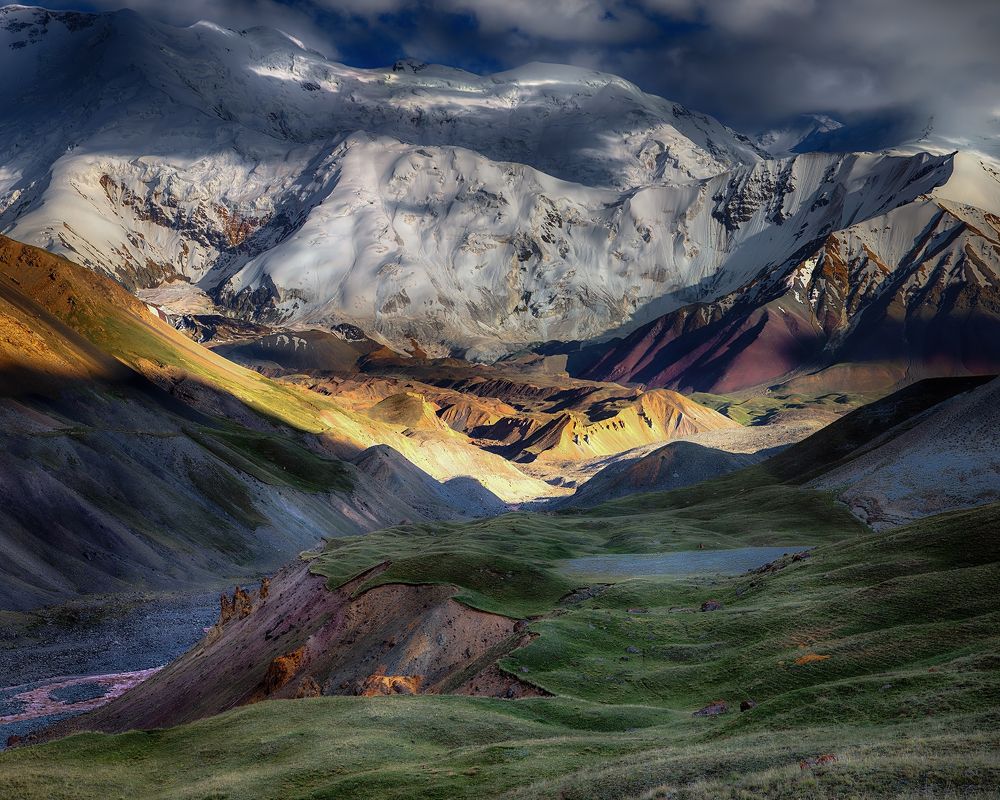 Палитра Творца