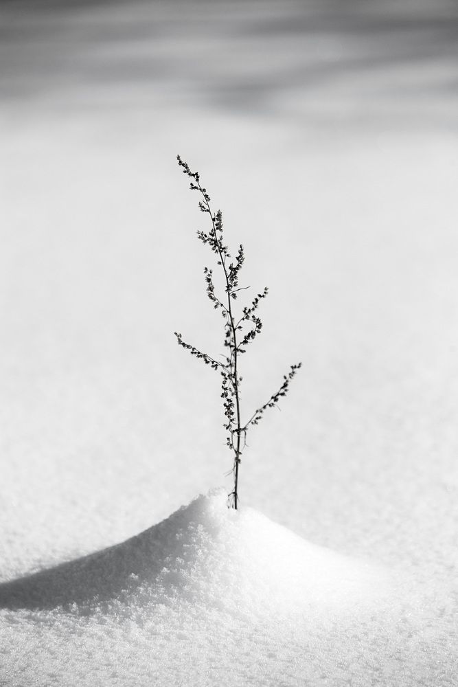 Photograph by Белевитин Михаил