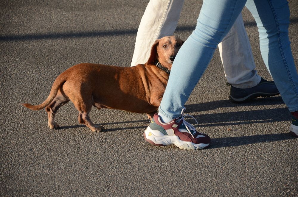 Photograph by Наталья Скиданова