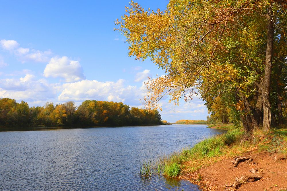 Осень на реке Белая