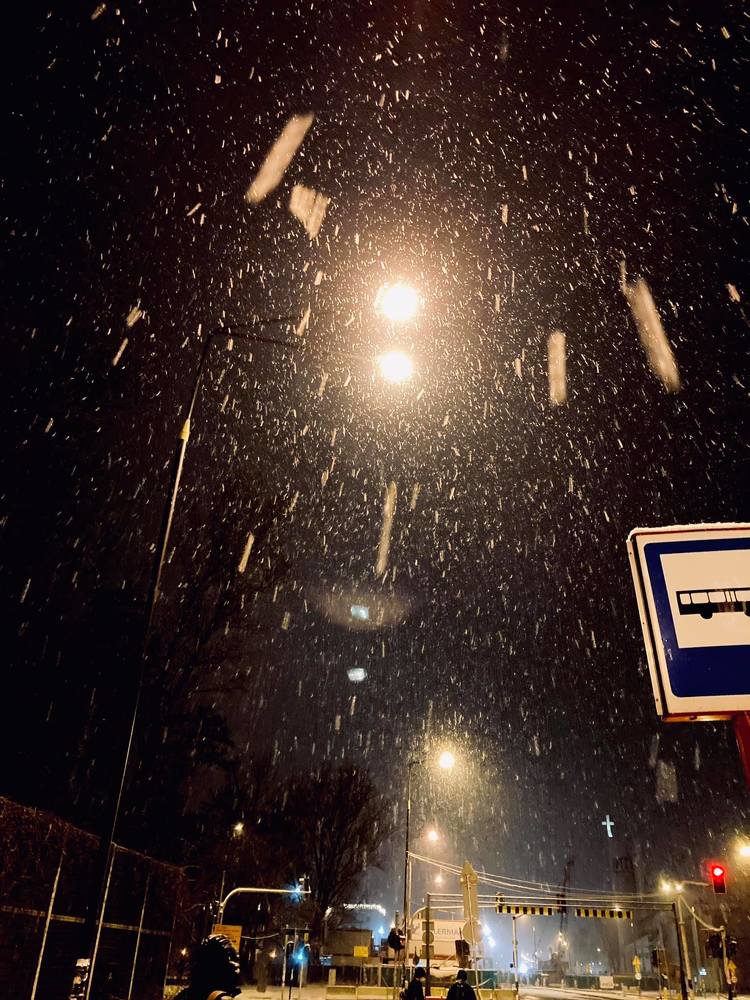 Photograph by Viktoriia Shtefanesa