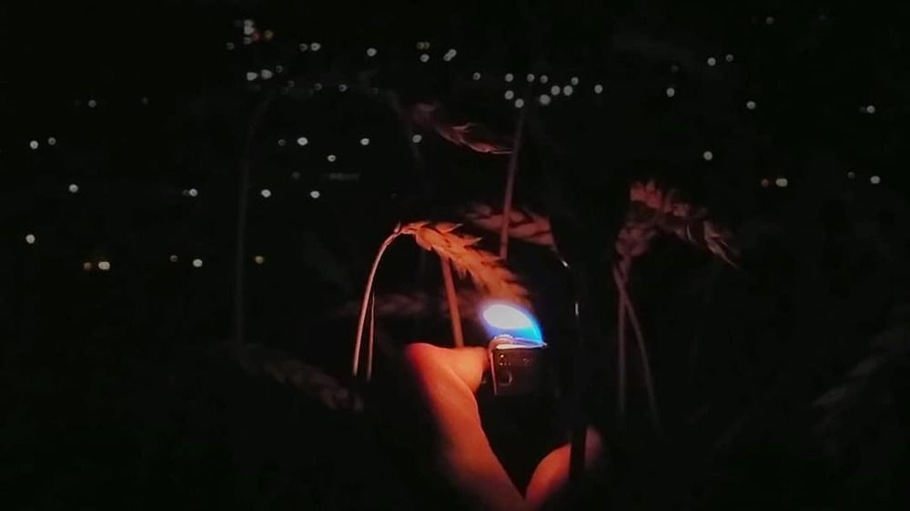 огонь в тьме