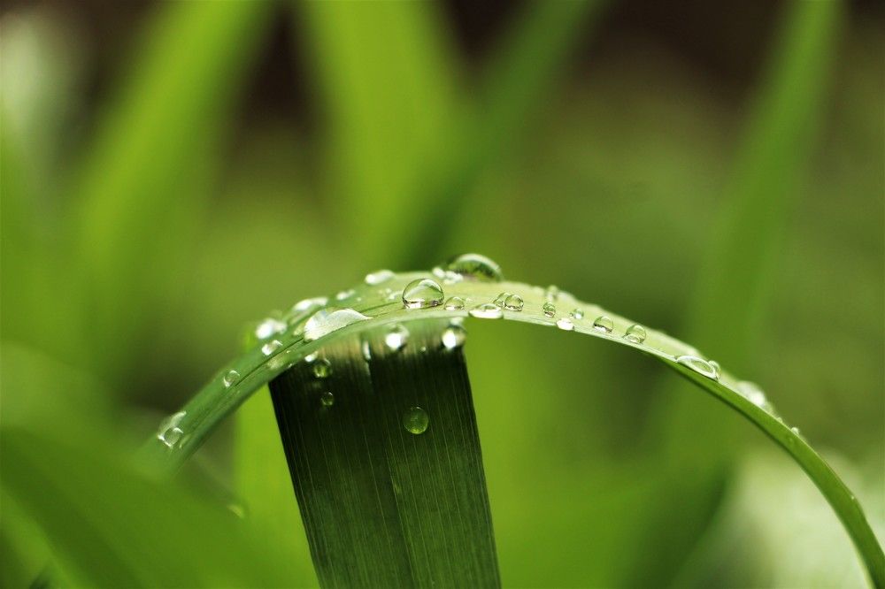 Весенние мотивы