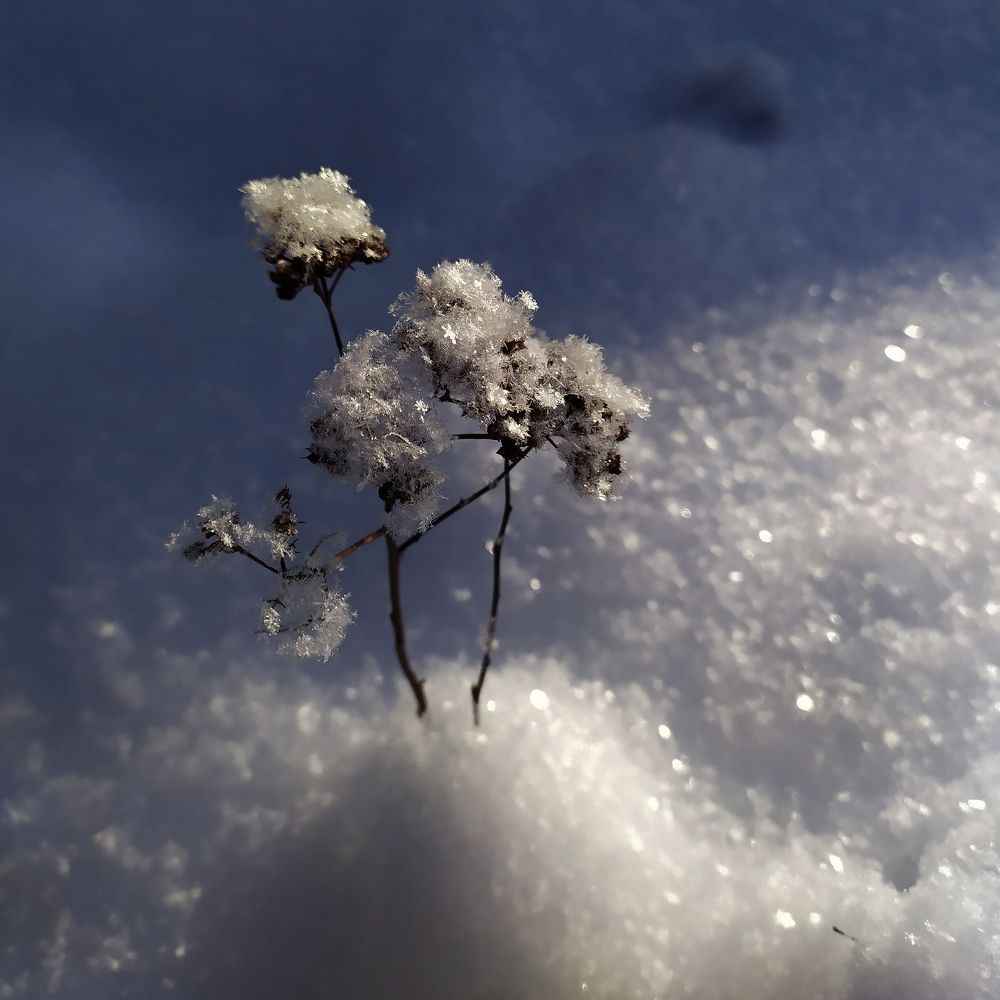 Photograph by Елена Павлова