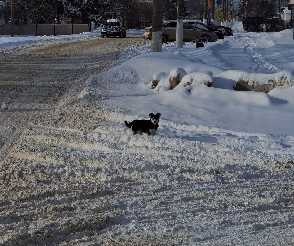 Солнечный день