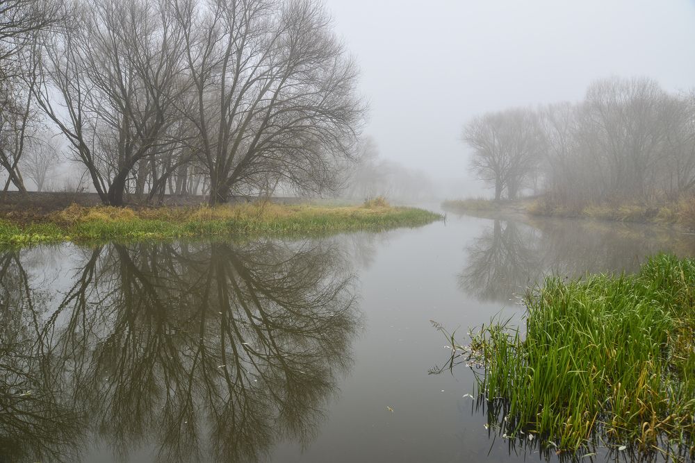 Осенний Туман на Тьмаке