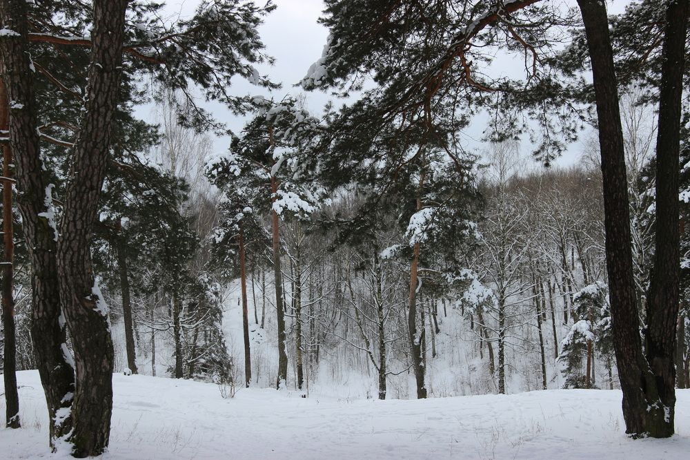 Photograph by Лебедевич Ирочка