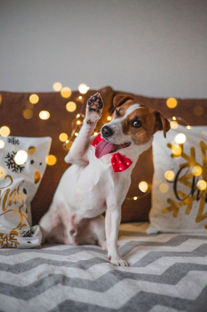 Photograph by Марина Колобанова