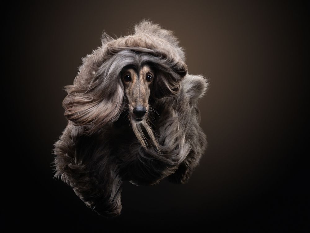 Photograph by Анна Аверьянова