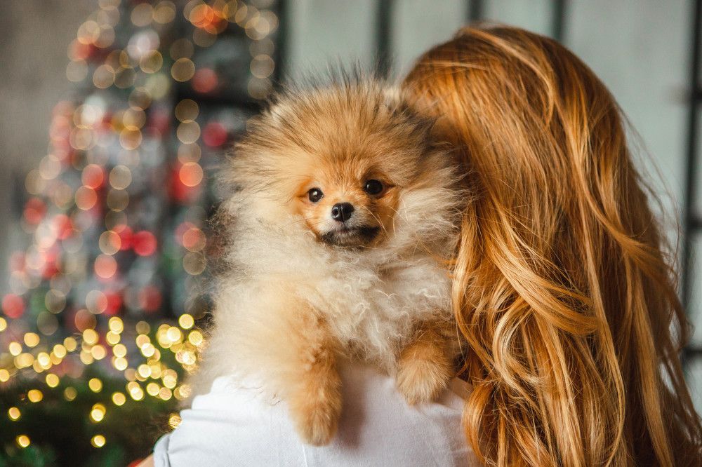 Photograph by Марина Колобанова