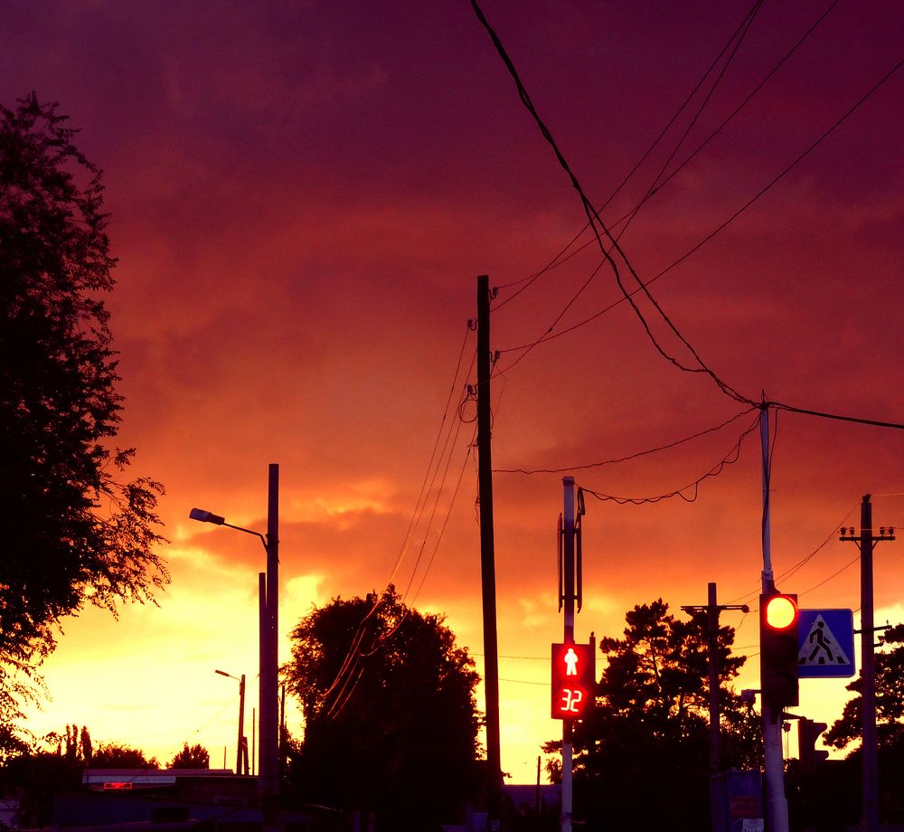 Photograph by Darya Dolinina