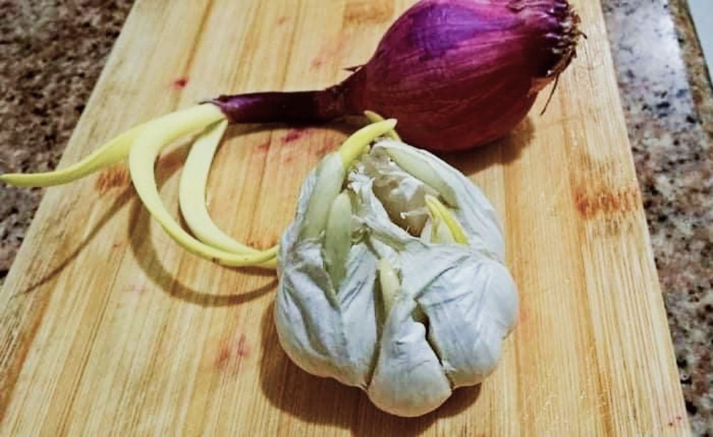 Photograph by Boostera