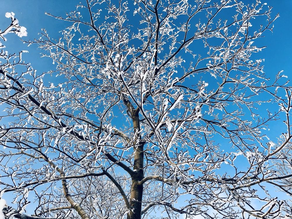 Photograph by Olga Oginskaya