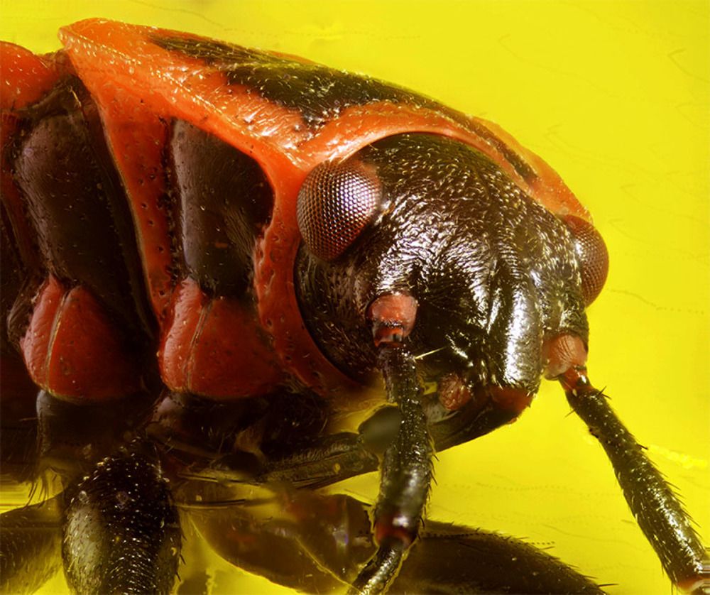 Photograph by Alexander Vayionis