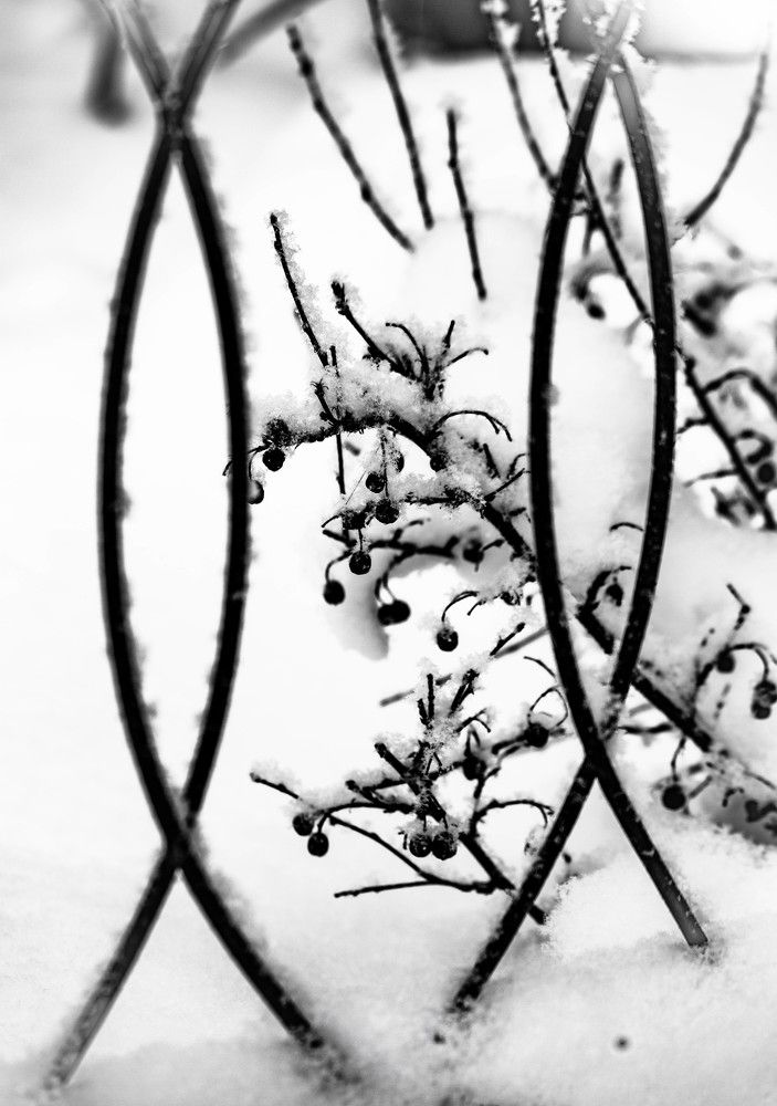 Photograph by Ольга Сафронова