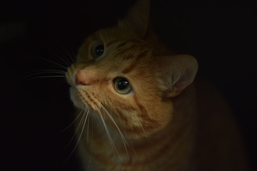 Photograph by Наталья Ткаченко