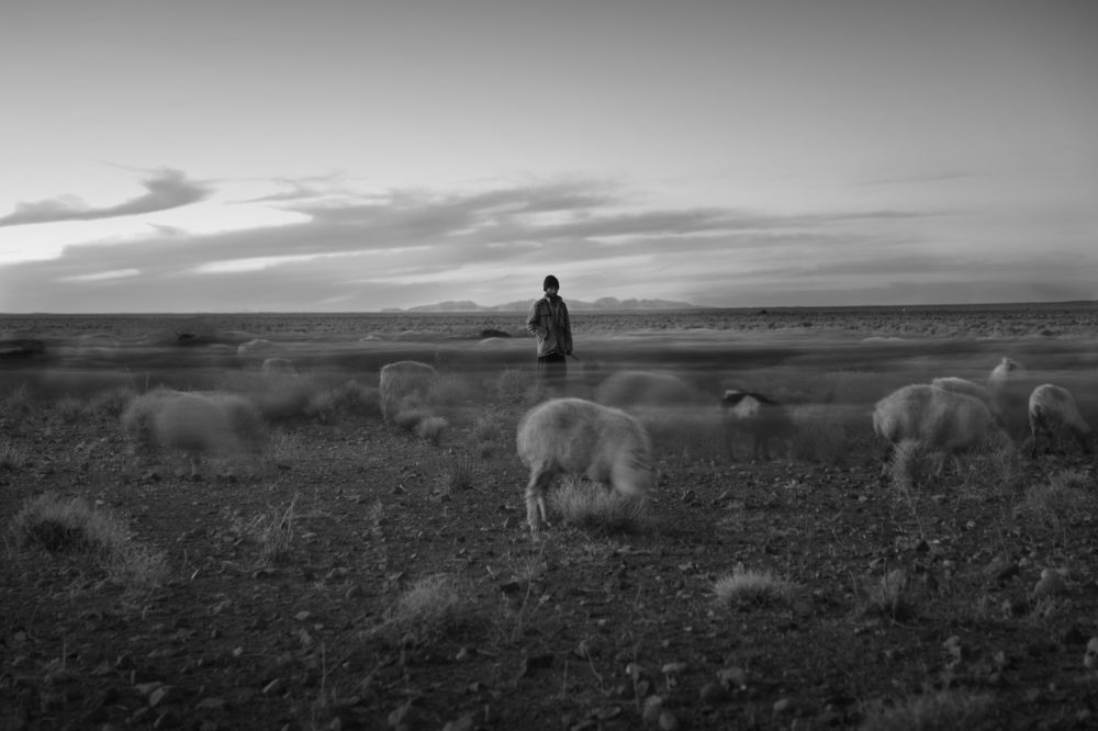 Photograph by Parsa Torabi