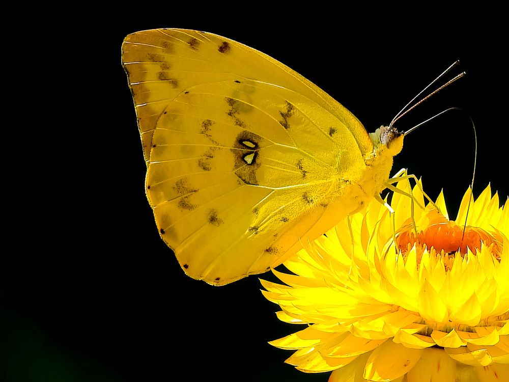 Photograph by Nicolas Acevedo M