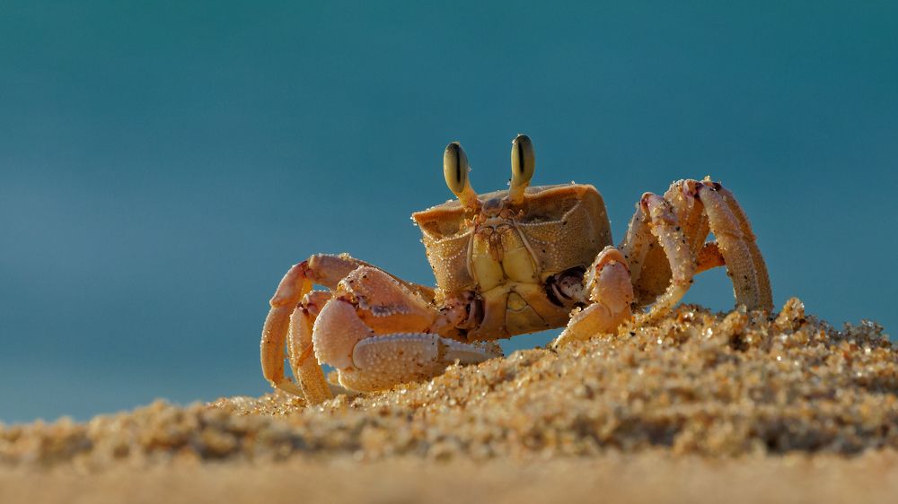 Photograph by Roelof Groesbeek