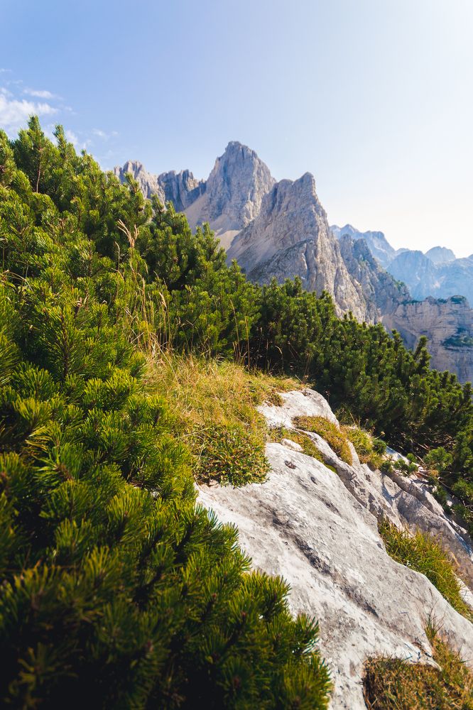 Photograph by Fahrudin Seferagić