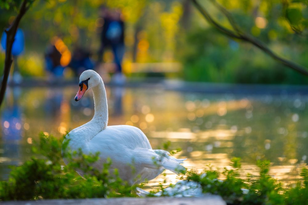 Photograph by Михаил Ноеренчук