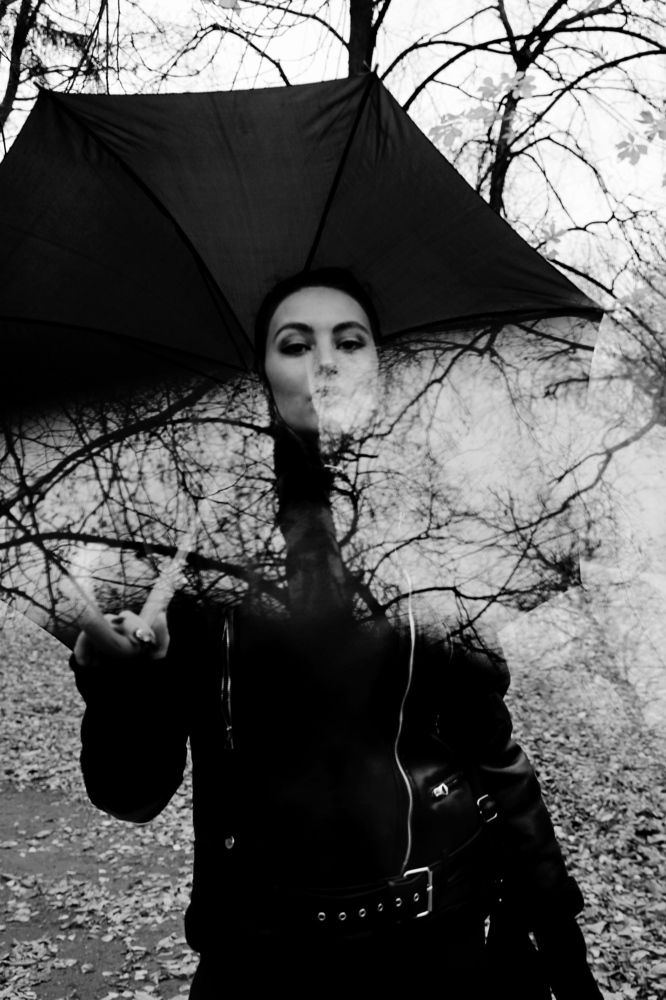 Я ТАКОЕ ДЕРЕВО