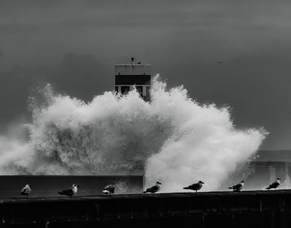 Фотография автора Nuno Pacheco