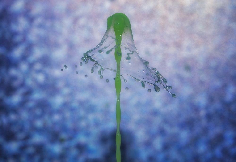 Photograph by 