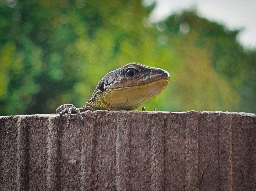 Photograph by Анастасия