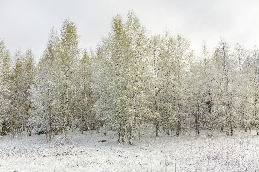 Photograph by Станислав Напалкин