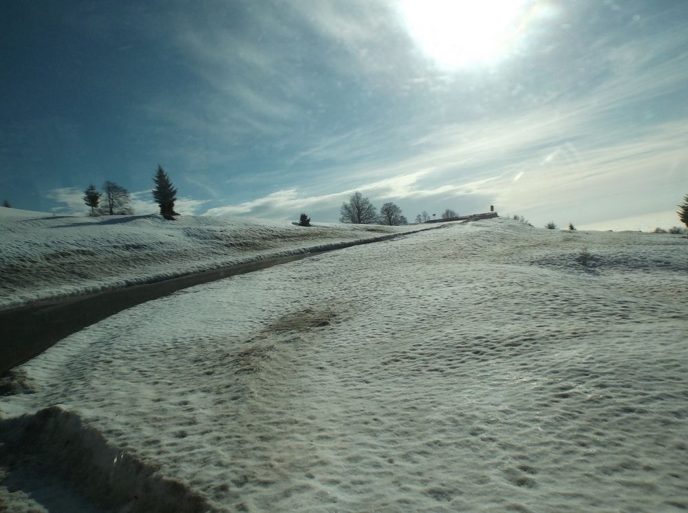 Photo #5694043