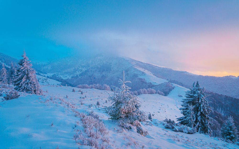 Фотография автора Андрей [Seencleyr] Чуяшенко