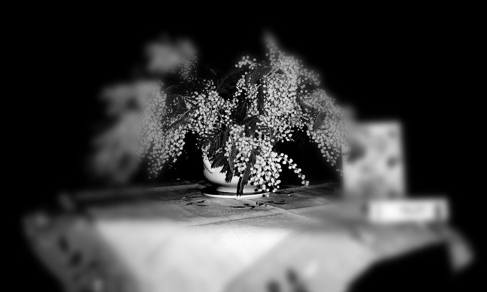 Photograph by Евгений