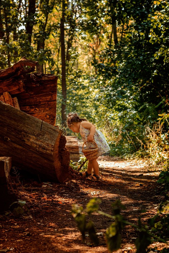 Photograph by Валентина Каширцева