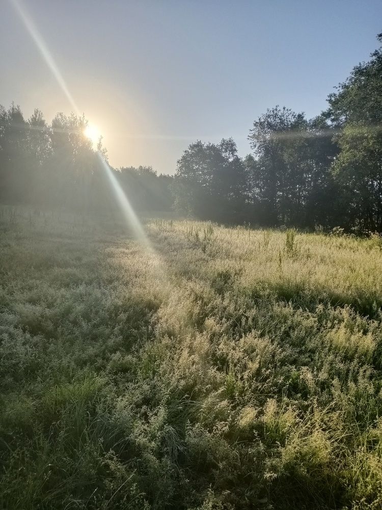Photograph by Андрей Барановский