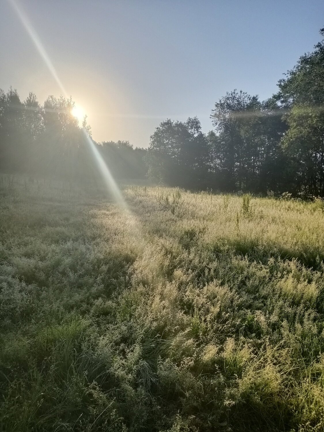 Photo #5694056