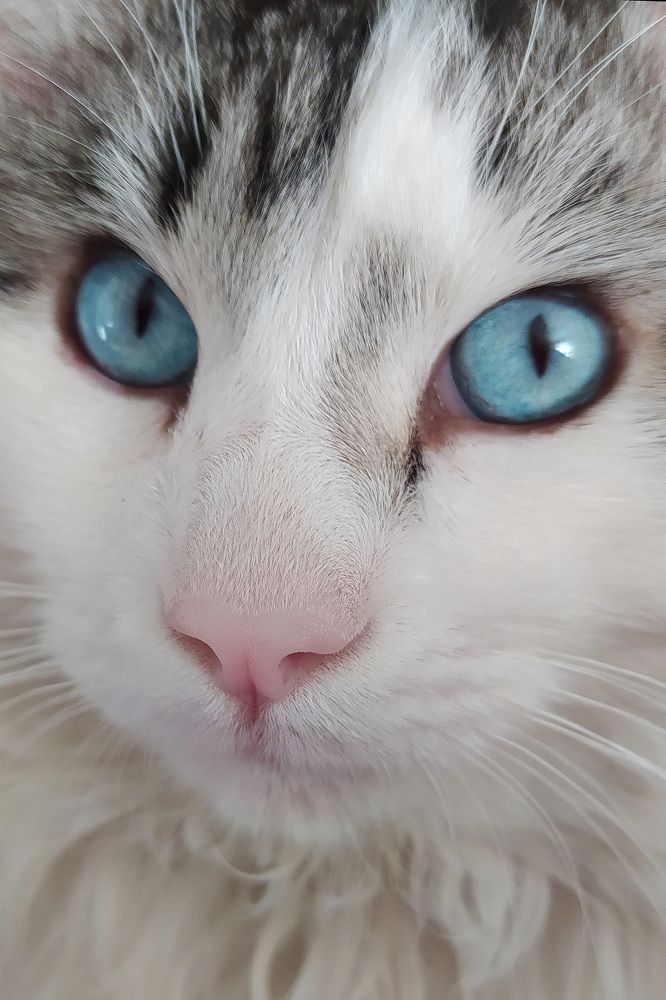 Photograph by Irina Nazarova