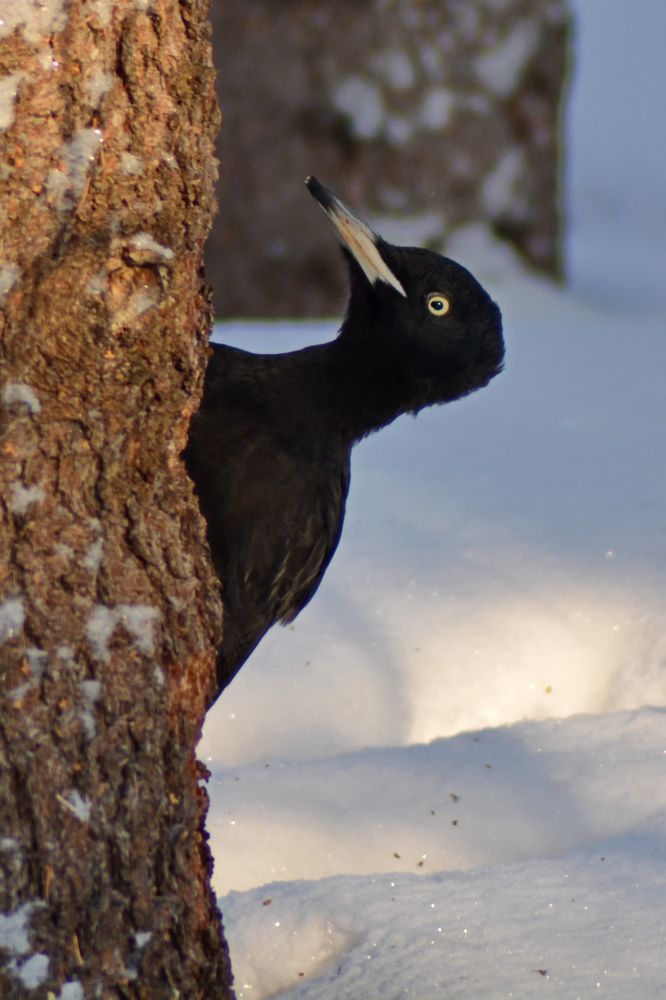 Photograph by Andrey