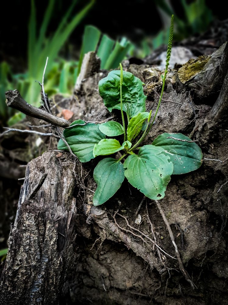 Photograph by Анастасия