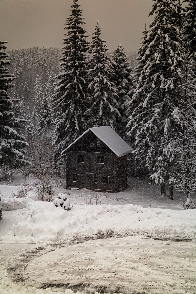 Где-то в Ворохте.