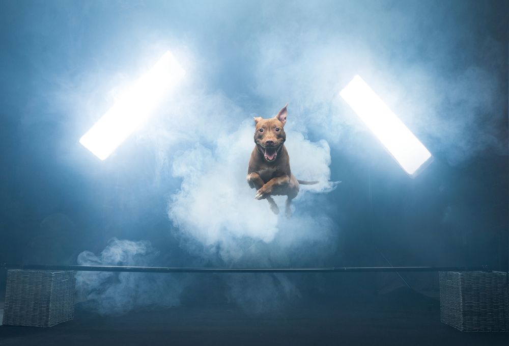 Photograph by Анна Аверьянова