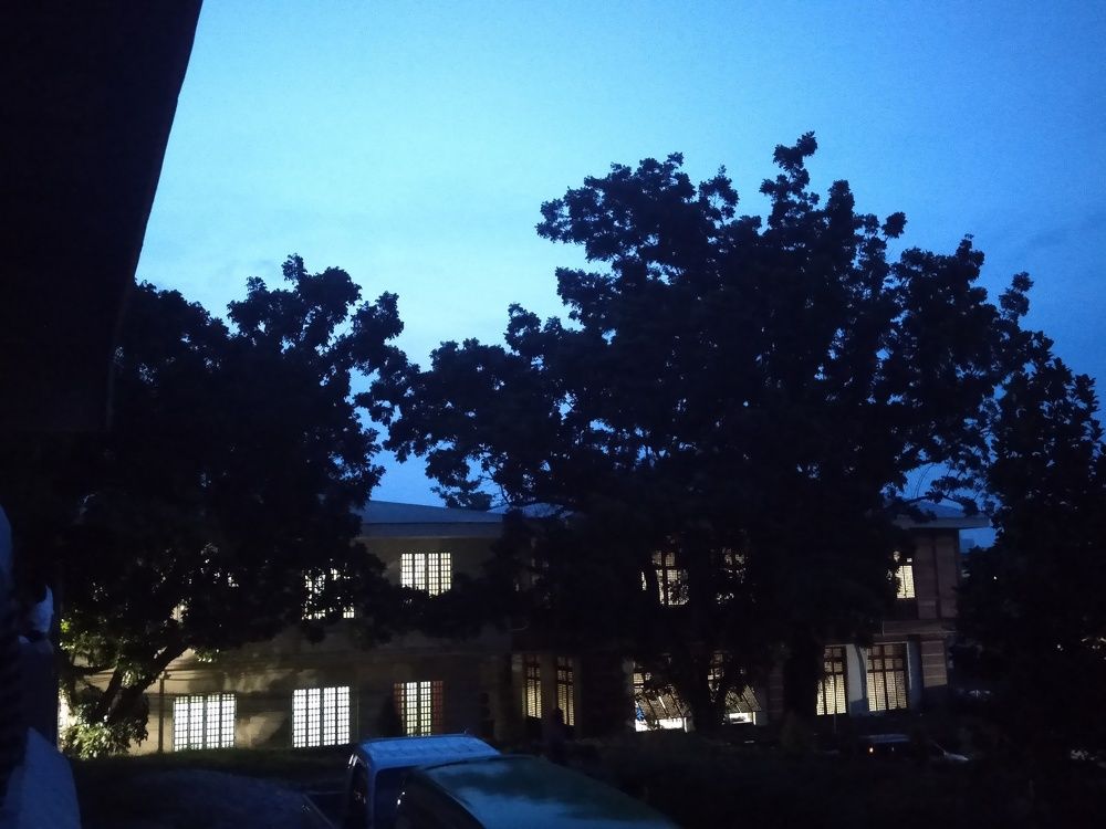 Photo #5694254