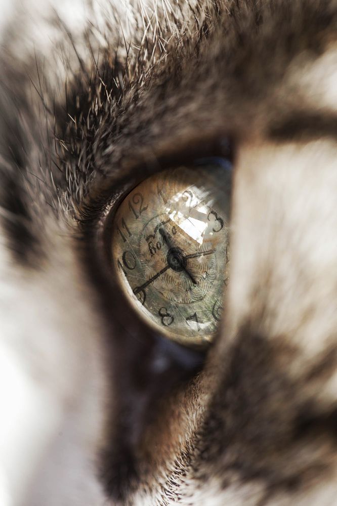 Photograph by Olena Leliuk