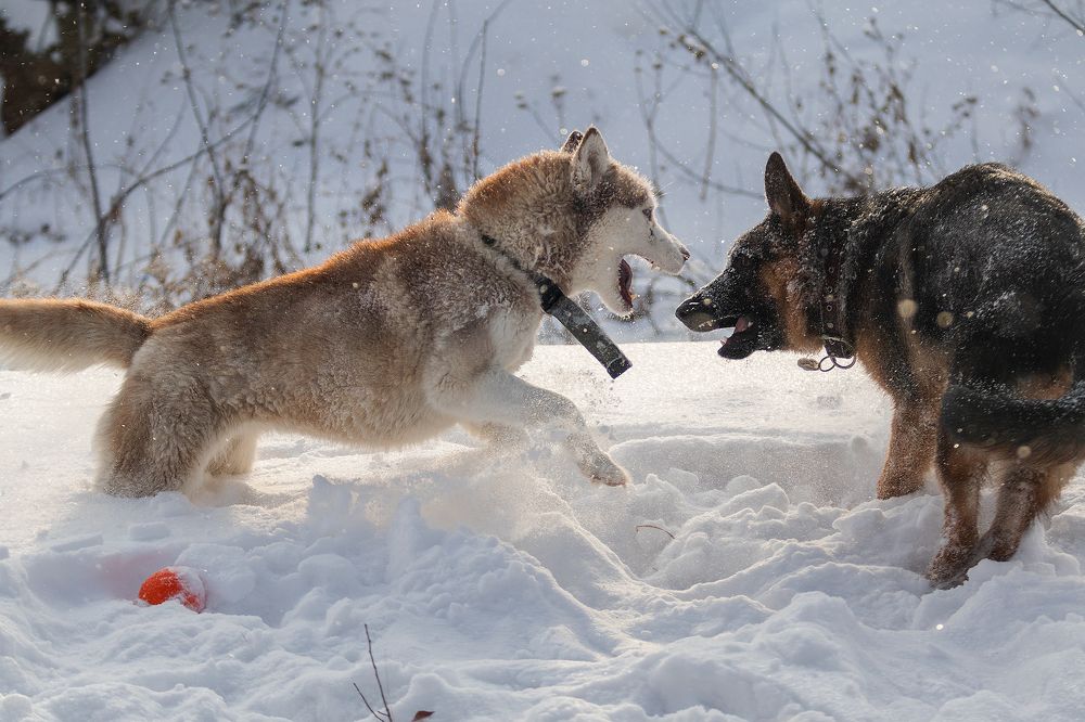 Photograph by Любовь Головина