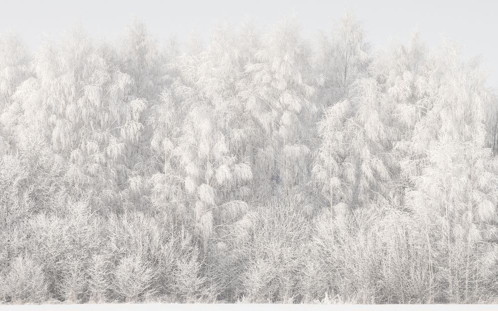 Photograph by Сергеев Сергей