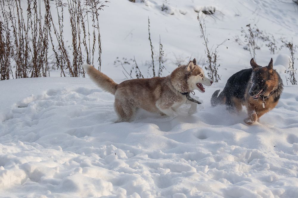 Photograph by Любовь Головина